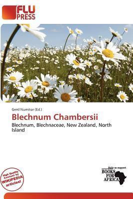 Blechnum Chambersii