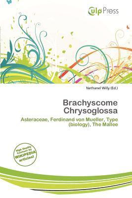 Brachyscome Chrysoglossa