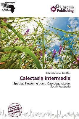 Calectasia Intermedia