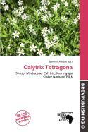 Calytrix Tetragona