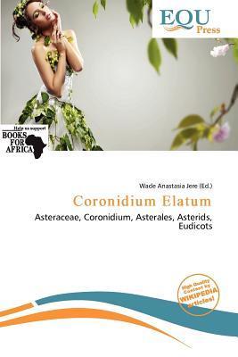 Coronidium Elatum