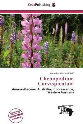Chenopodium Curvispicatum