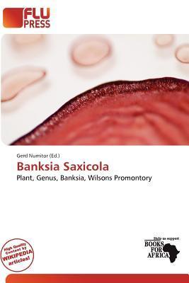 Banksia Saxicola