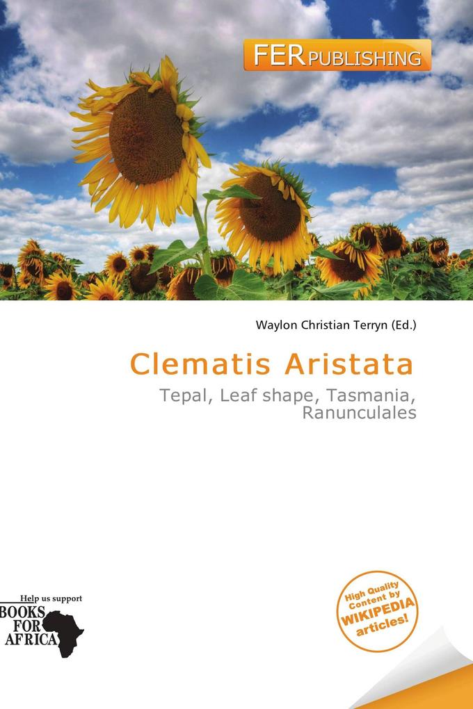 Clematis Aristata