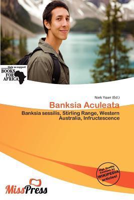 Banksia Aculeata
