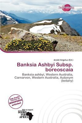 Banksia Ashbyi Subsp. boreoscaia