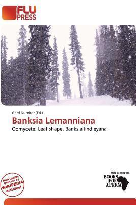 Banksia Lemanniana
