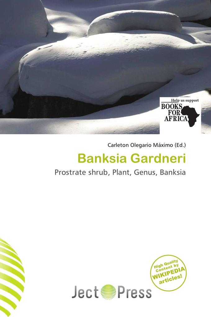 Banksia Gardneri
