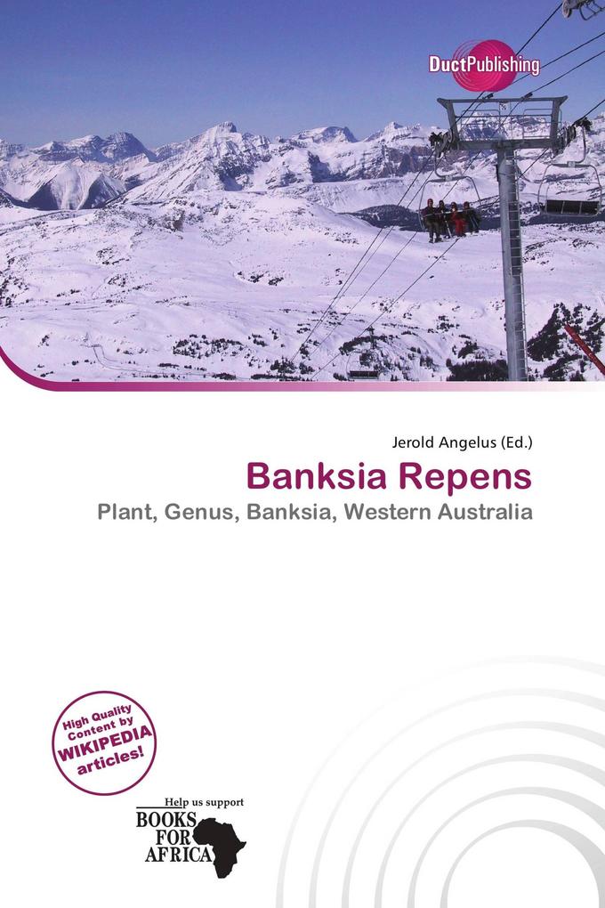 Banksia Repens