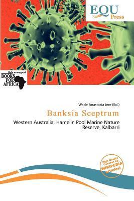 Banksia Sceptrum