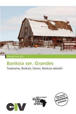 Banksia ser. Grandes