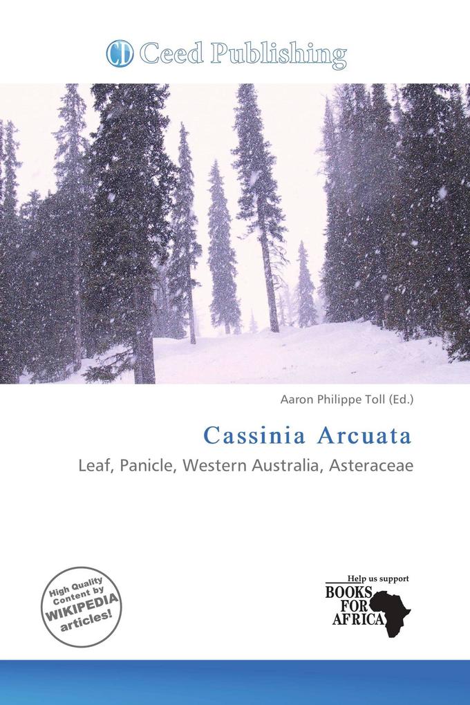 Cassinia Arcuata