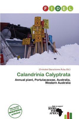 Calandrinia Calyptrata