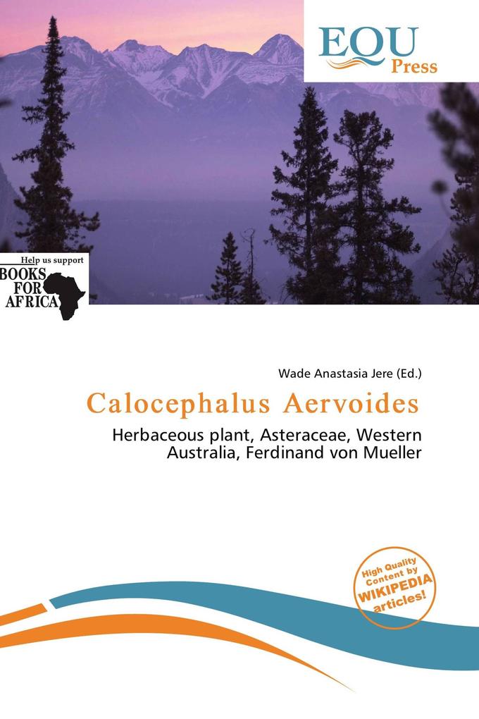 Calocephalus Aervoides