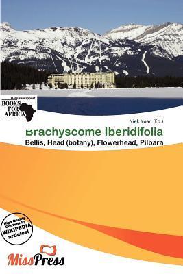 Brachyscome Iberidifolia