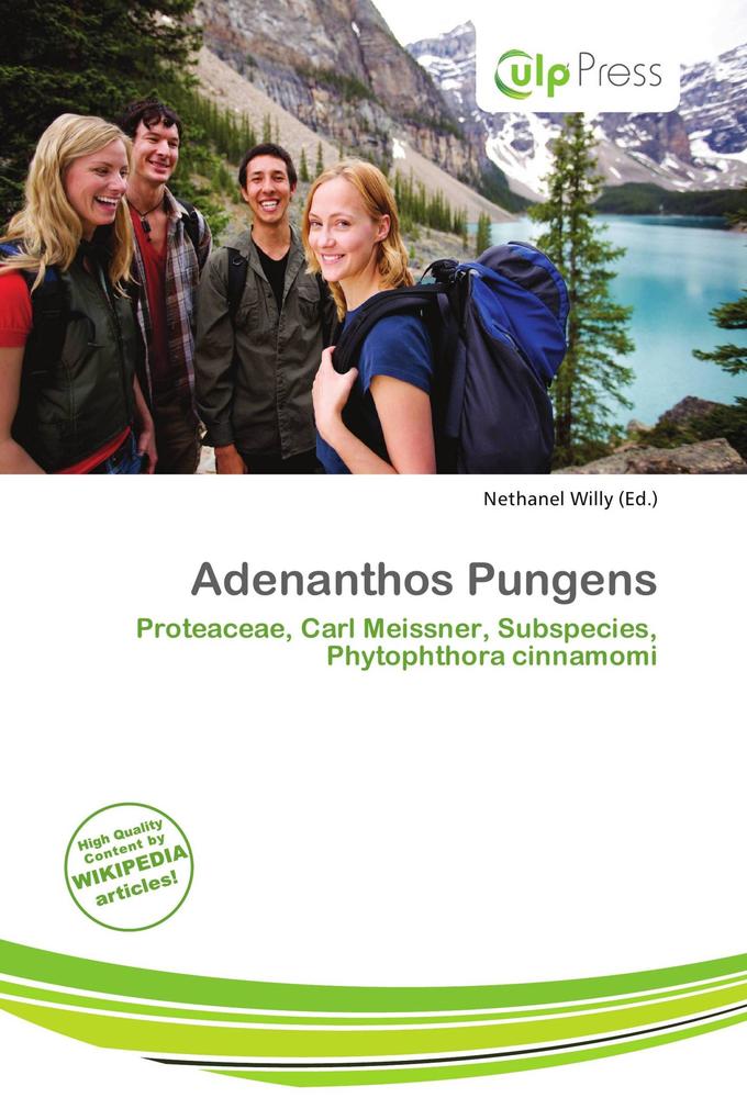 Adenanthos Pungens