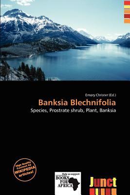 Banksia Blechnifolia