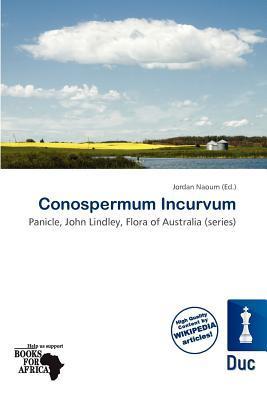 Conospermum Incurvum
