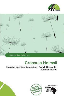 Crassula Helmsii