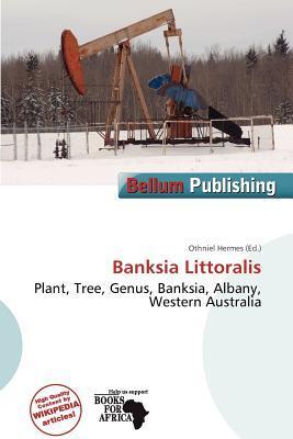 Banksia Littoralis