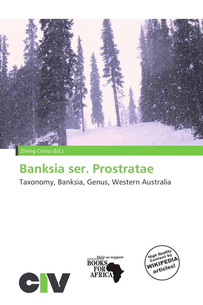 Banksia ser. Prostratae
