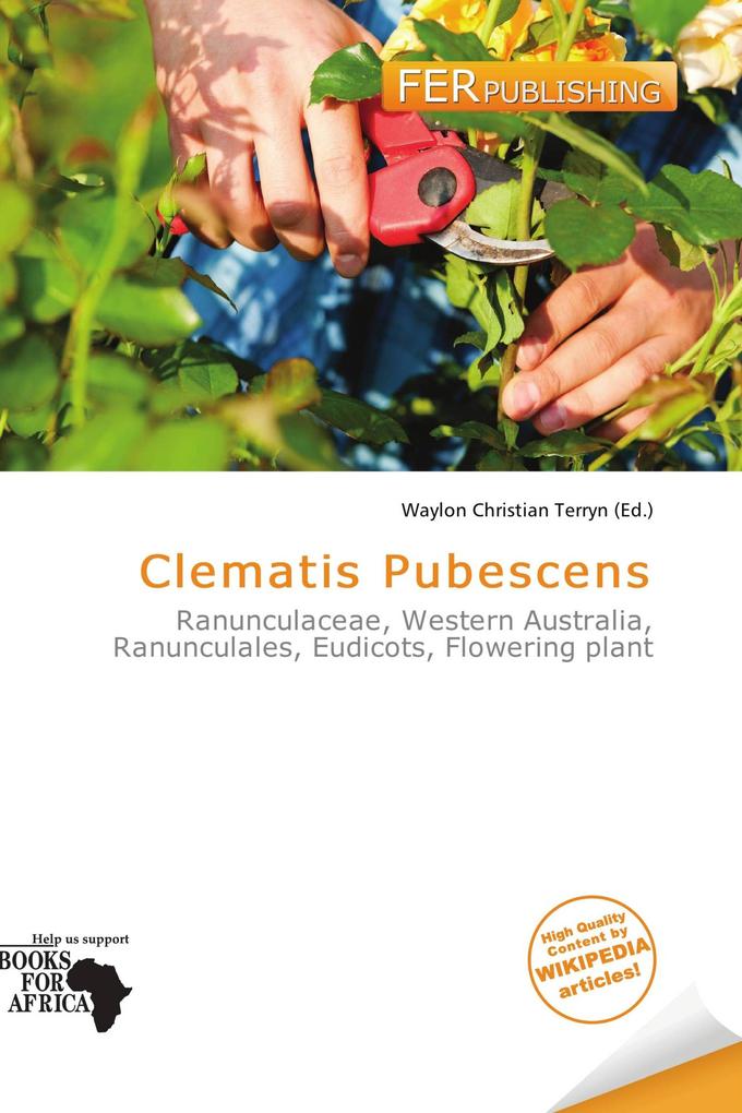 Clematis Pubescens
