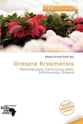 Drosera Broomensis