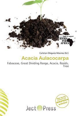 Acacia Aulacocarpa
