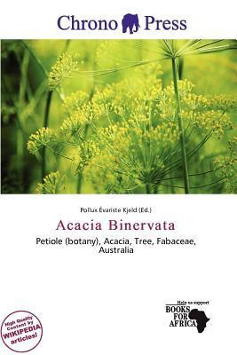 Acacia Binervata