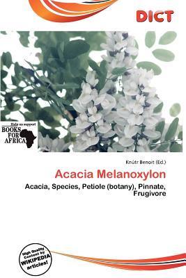Acacia Melanoxylon