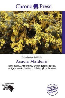 Acacia Maidenii