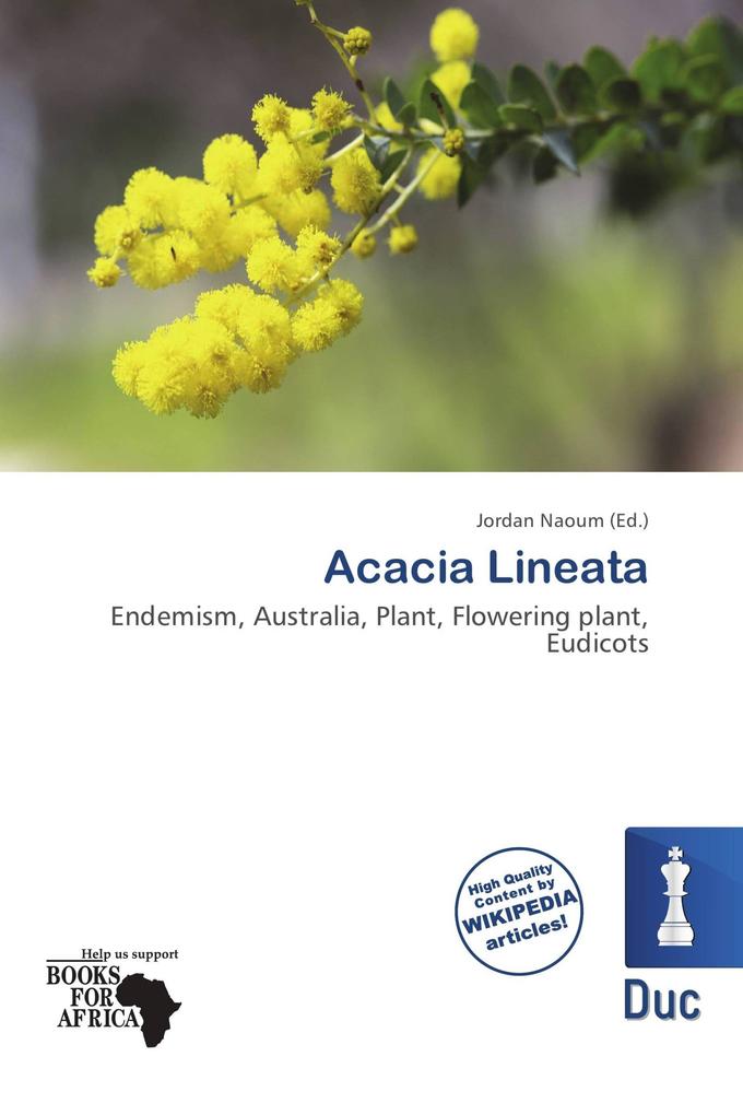Acacia Lineata