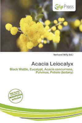 Acacia Leiocalyx