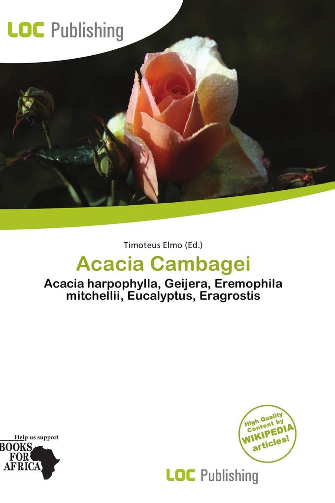 Acacia Cambagei