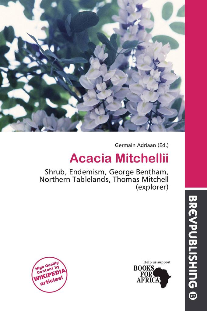 Acacia Mitchellii