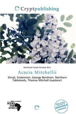 Acacia Mitchellii