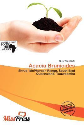 Acacia Brunioides