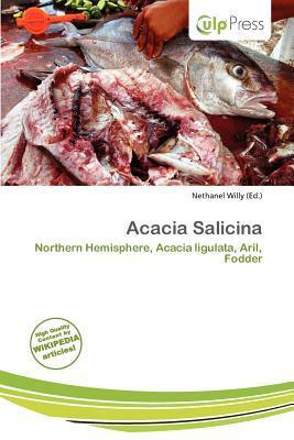 Acacia Salicina
