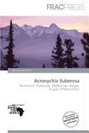 Acronychia Suberosa