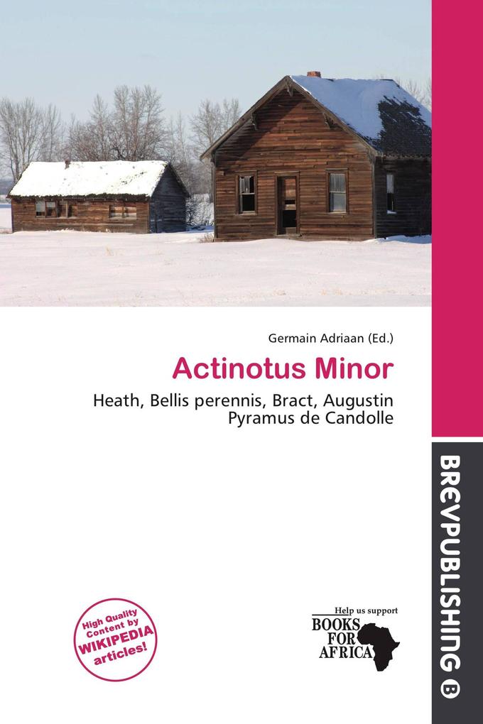 Actinotus Minor