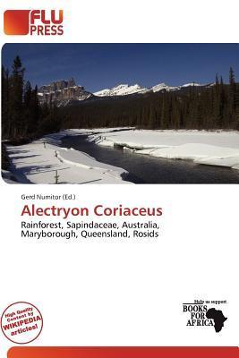 Alectryon Coriaceus