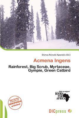 Acmena Ingens