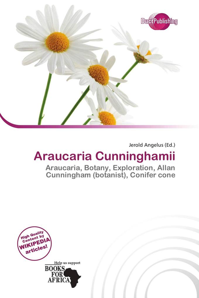 Araucaria Cunninghamii
