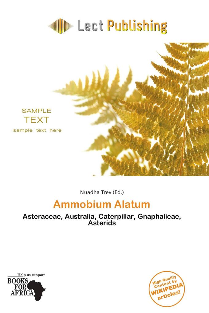 Ammobium Alatum