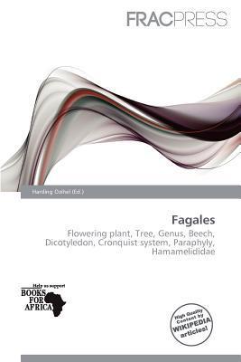 Fagales