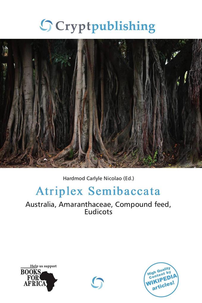 Atriplex Semibaccata