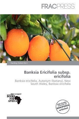 Banksia Ericifolia subsp. ericifolia