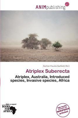 Atriplex Suberecta