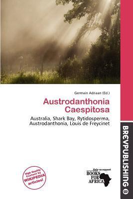 Austrodanthonia Caespitosa
