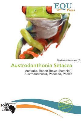 Austrodanthonia Setacea